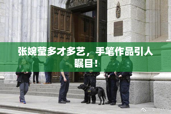 张婉莹多才多艺，手笔作品引人瞩目！