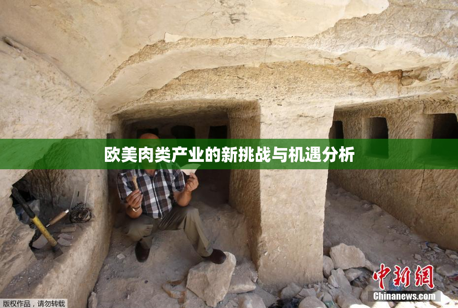 欧美肉类产业的新挑战与机遇分析