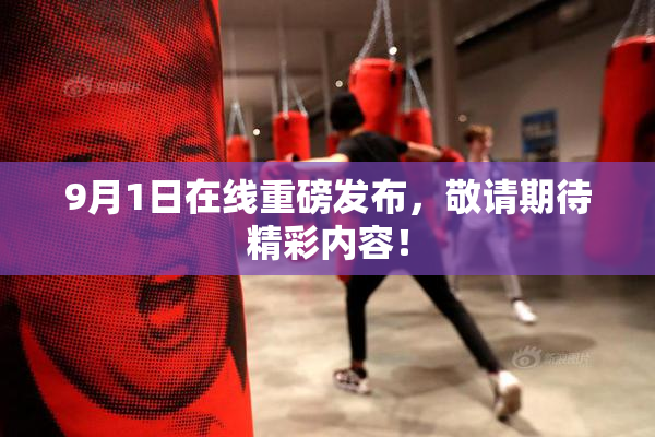 9月1日在线重磅发布，敬请期待精彩内容！