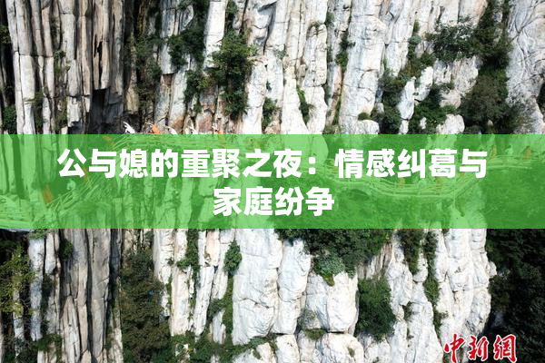 公与媳的重聚之夜：情感纠葛与家庭纷争