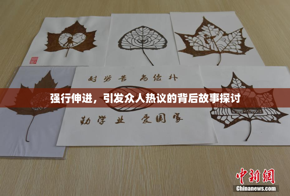 强行伸进，引发众人热议的背后故事探讨