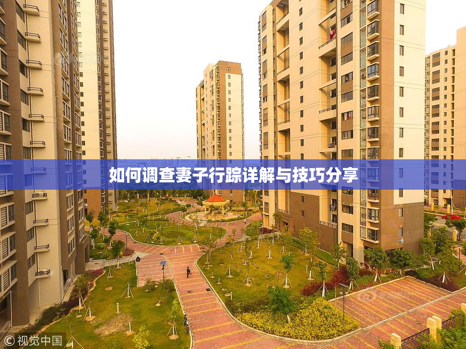 如何调查妻子行踪详解与技巧分享
