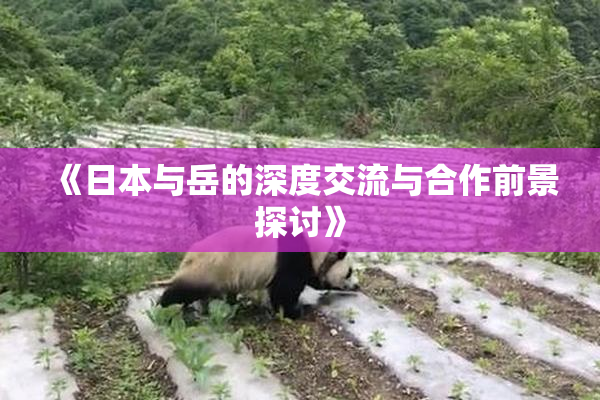 《日本与岳的深度交流与合作前景探讨》
