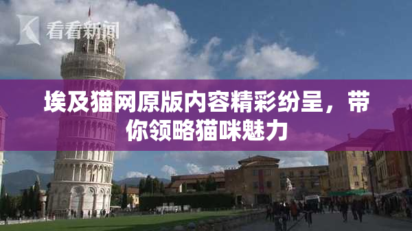 埃及猫网原版内容精彩纷呈，带你领略猫咪魅力
