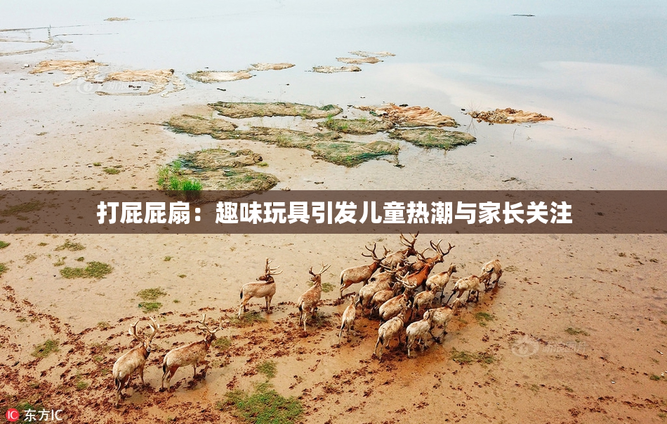 打屁屁扇：趣味玩具引发儿童热潮与家长关注