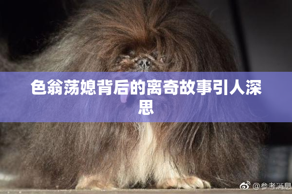 色翁荡媳背后的离奇故事引人深思