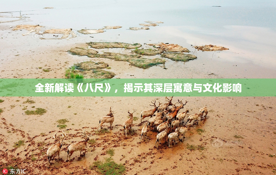 全新解读《八尺》，揭示其深层寓意与文化影响
