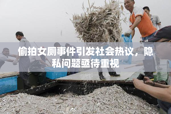偷拍女厕事件引发社会热议，隐私问题亟待重视
