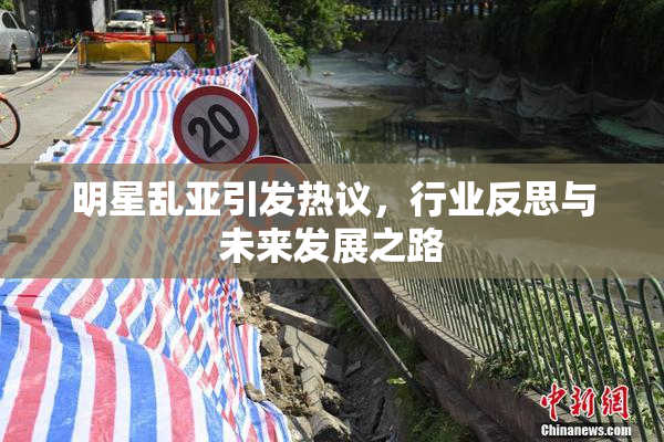 明星乱亚引发热议，行业反思与未来发展之路