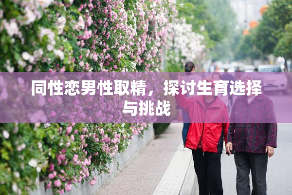 同性恋男性取精，探讨生育选择与挑战