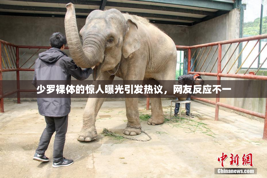 少罗裸体的惊人曝光引发热议，网友反应不一