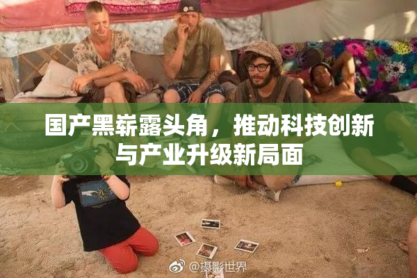 国产黑崭露头角，推动科技创新与产业升级新局面