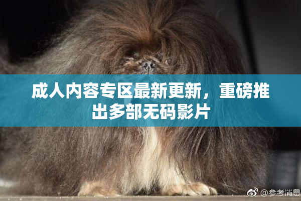 成人内容专区最新更新，重磅推出多部无码影片