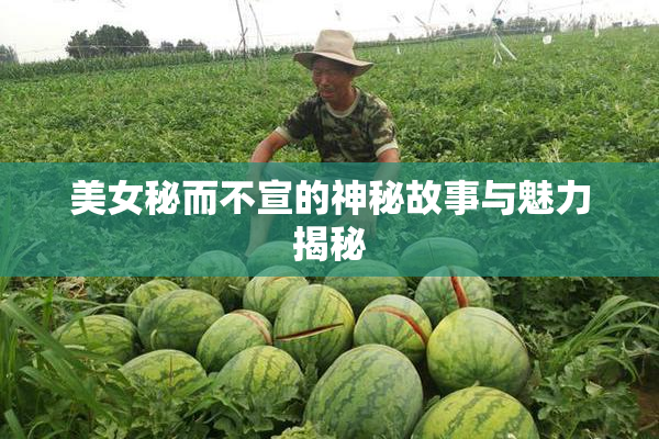 美女秘而不宣的神秘故事与魅力揭秘