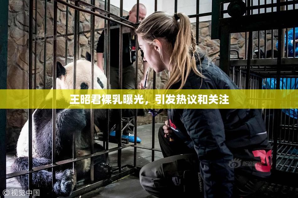 王昭君裸乳曝光，引发热议和关注