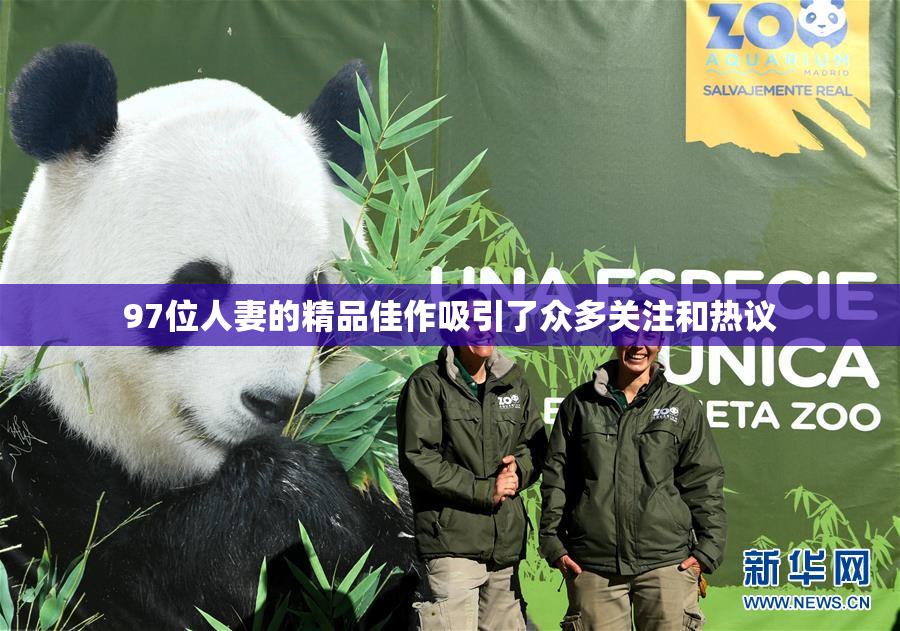 97位人妻的精品佳作吸引了众多关注和热议