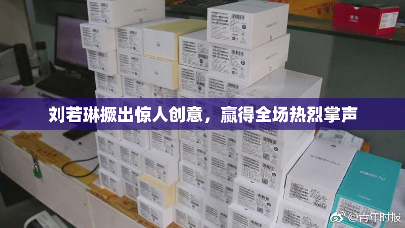 刘若琳撅出惊人创意，赢得全场热烈掌声