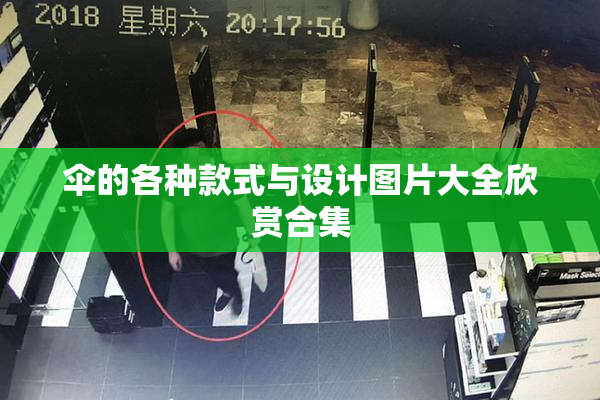 伞的各种款式与设计图片大全欣赏合集
