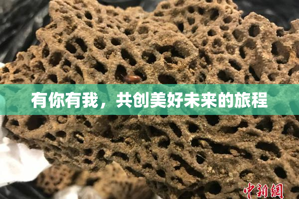有你有我，共创美好未来的旅程