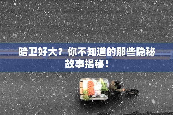 暗卫好大？你不知道的那些隐秘故事揭秘！