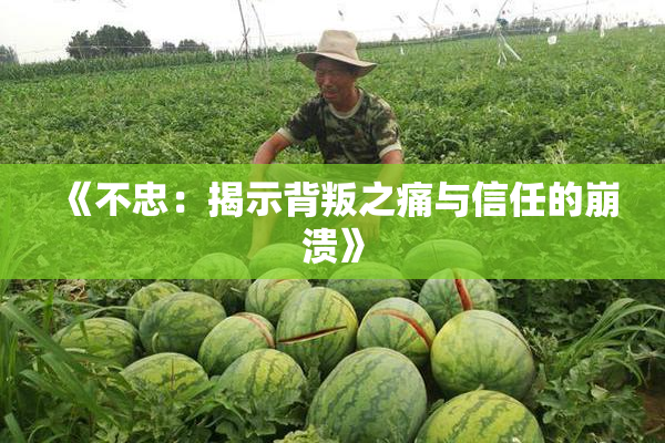 《不忠：揭示背叛之痛与信任的崩溃》