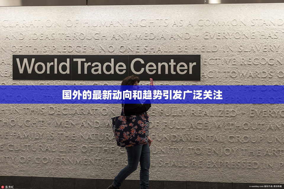 国外的最新动向和趋势引发广泛关注