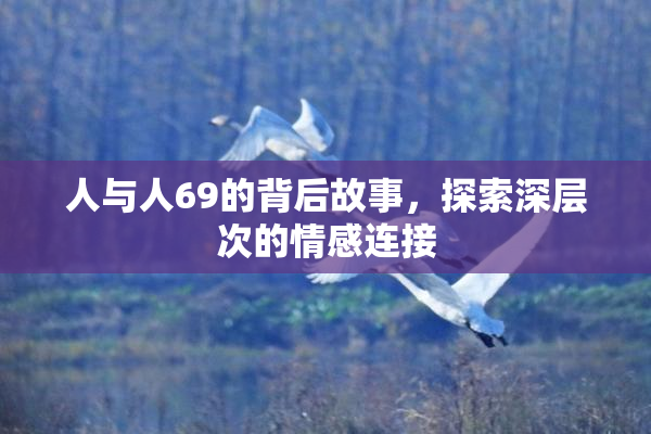 人与人69的背后故事，探索深层次的情感连接