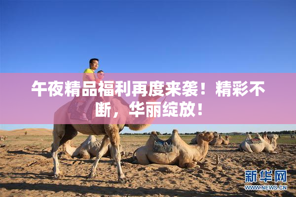 午夜精品福利再度来袭！精彩不断，华丽绽放！