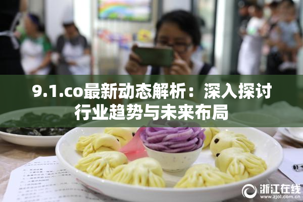 9.1.co最新动态解析：深入探讨行业趋势与未来布局