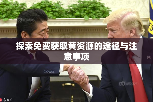 探索免费获取黄资源的途径与注意事项