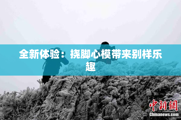 全新体验：挠脚心模带来别样乐趣