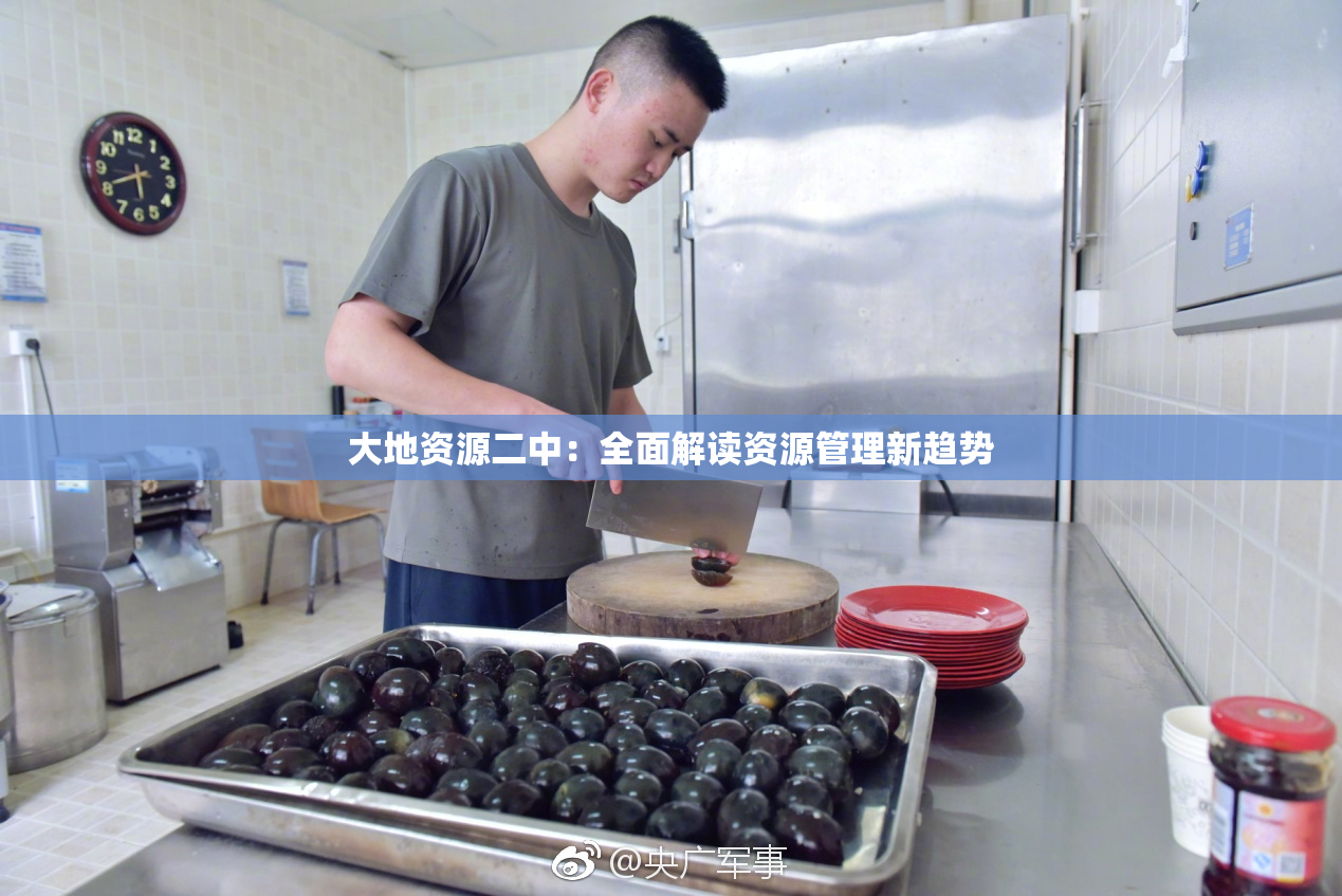 大地资源二中：全面解读资源管理新趋势