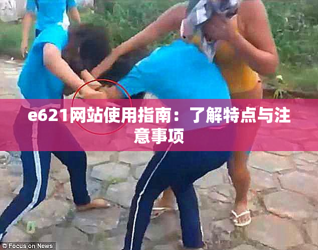 e621网站使用指南：了解特点与注意事项