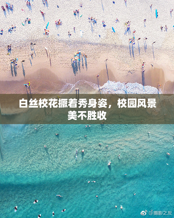 白丝校花撅着秀身姿，校园风景美不胜收