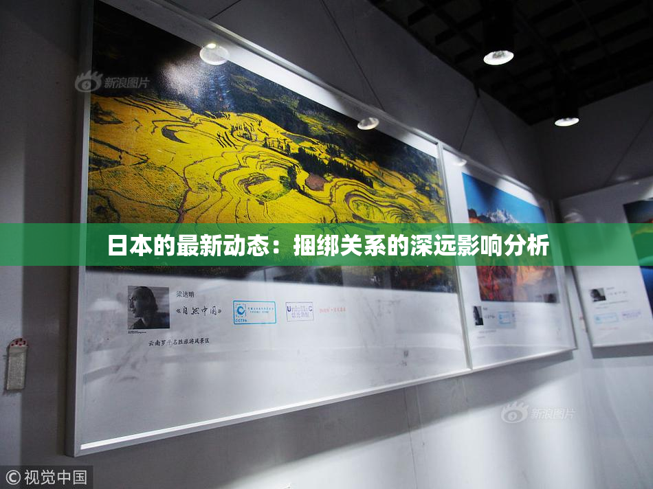 日本的最新动态：捆绑关系的深远影响分析