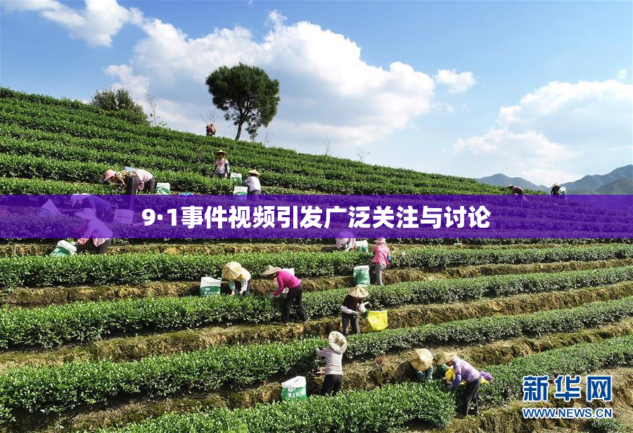 9·1事件视频引发广泛关注与讨论
