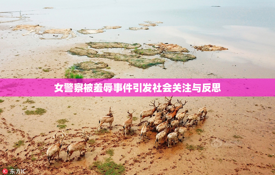 女警察被羞辱事件引发社会关注与反思