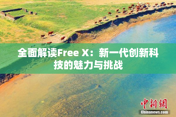 全面解读Free X：新一代创新科技的魅力与挑战