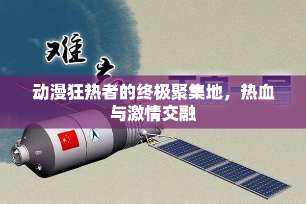 动漫狂热者的终极聚集地，热血与激情交融