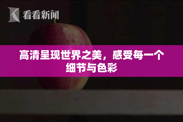 高清呈现世界之美，感受每一个细节与色彩
