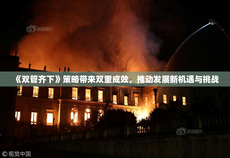 《双管齐下》策略带来双重成效，推动发展新机遇与挑战