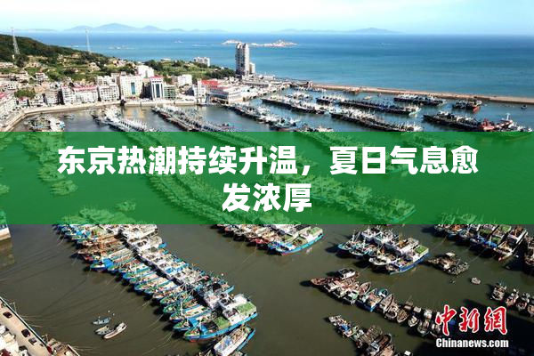 东京热潮持续升温，夏日气息愈发浓厚