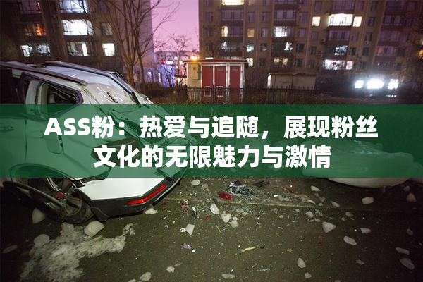 ASS粉：热爱与追随，展现粉丝文化的无限魅力与激情
