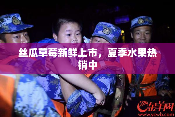 丝瓜草莓新鲜上市，夏季水果热销中