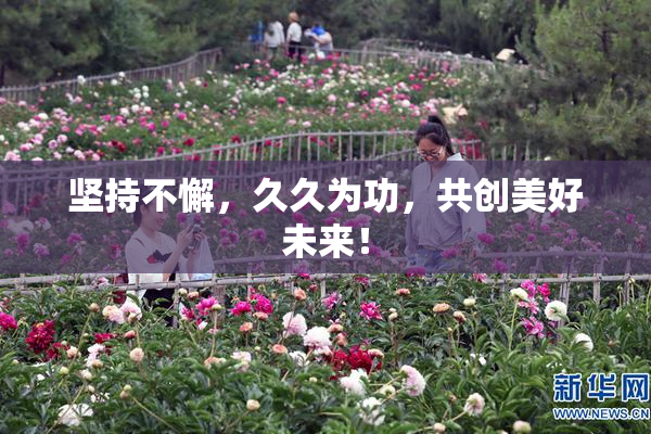 坚持不懈，久久为功，共创美好未来！