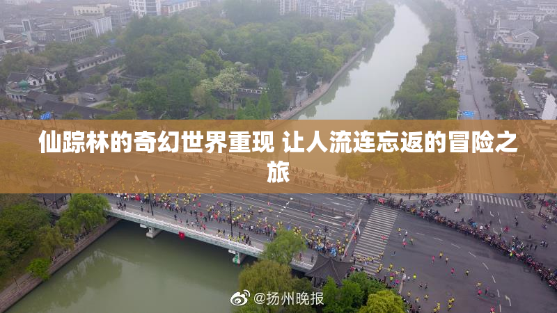 仙踪林的奇幻世界重现 让人流连忘返的冒险之旅