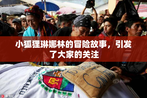 小狐狸琳娜林的冒险故事，引发了大家的关注