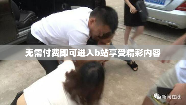 无需付费即可进入b站享受精彩内容