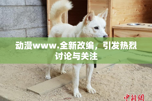 动漫www.全新改编，引发热烈讨论与关注
