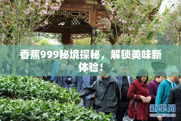 香蕉999秘境探秘，解锁美味新体验！